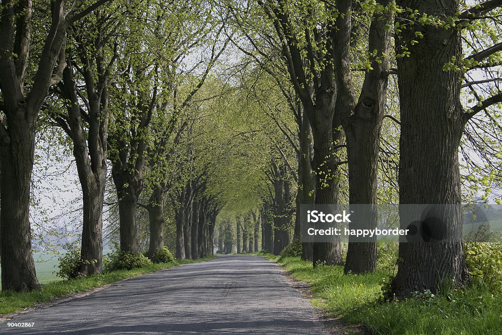 parkway in primavera. - Foto stock royalty-free di Affettuoso