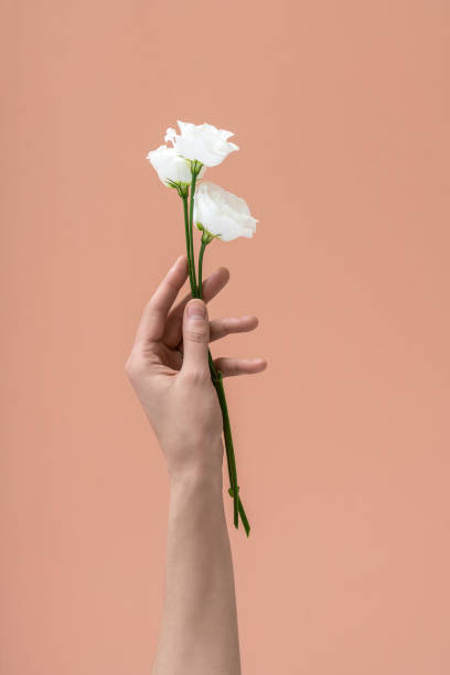 istock Woman's hand holds white flowers 904029176