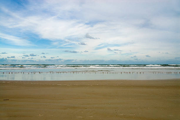 Blue sky birds and beach stock photo