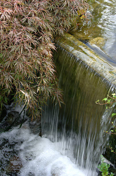 A tranquil Japanese garden in Osaka, Japan, featuring manicured greenery, winding stone paths, and a peaceful pond. The harmonious design includes moss-covered rocks, pruned trees, and subtle water features, creating a serene environment that reflects the principles of balance, simplicity, and natural beauty central to Japanese landscape architecture.