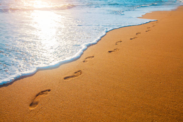 playa, onda y huellas en la puesta de tiempo - footprint sand sea beach fotografías e imágenes de stock