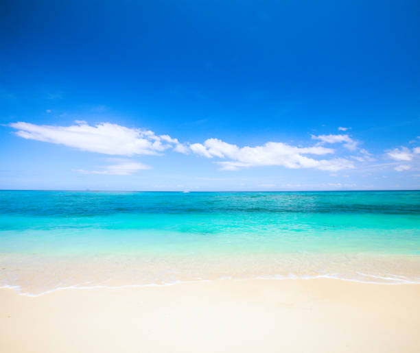 istock beach and beautiful tropical sea 904033652