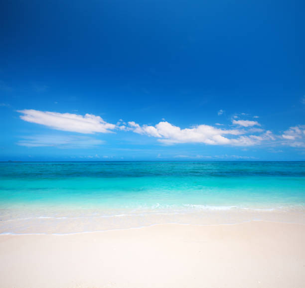 istock beach and beautiful tropical sea 904033692
