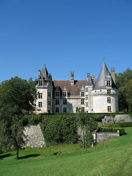istock Castle in France, Dordogne 90403838