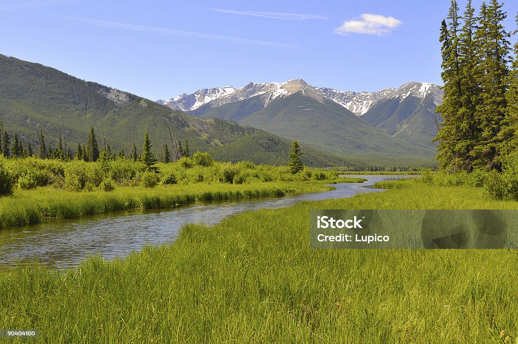 Vermillion Lakes - Zbiór zdjęć royalty-free (Alberta)