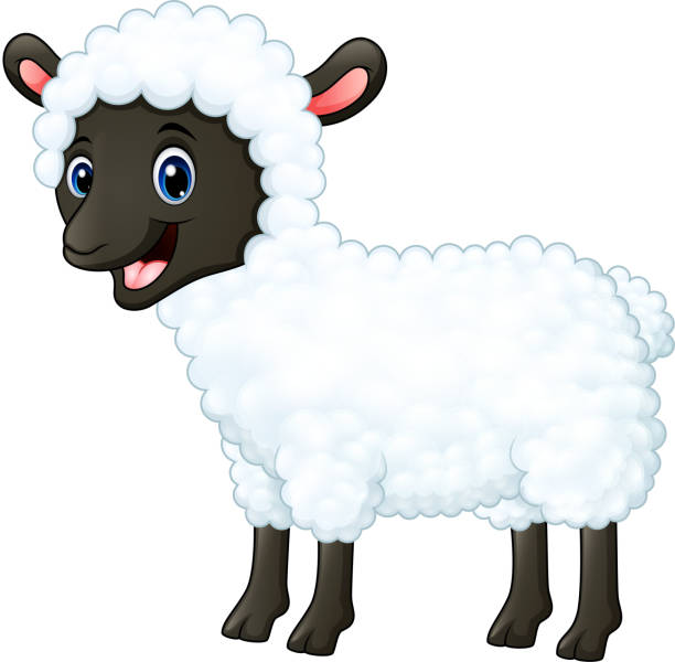 Sheep Cartoon Stock Photos, Pictures & Royalty-Free Images - iStock
