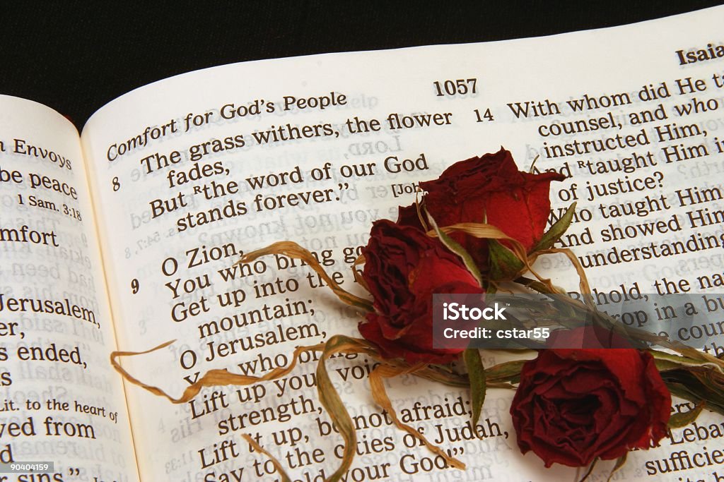 Religious: Isaiah 40:8 Bible Scripture with dried red roses Scripture from Isaiah 40:8 with dried flowers and grass sprigs. I also have a vertical view of this scripture Bible Stock Photo