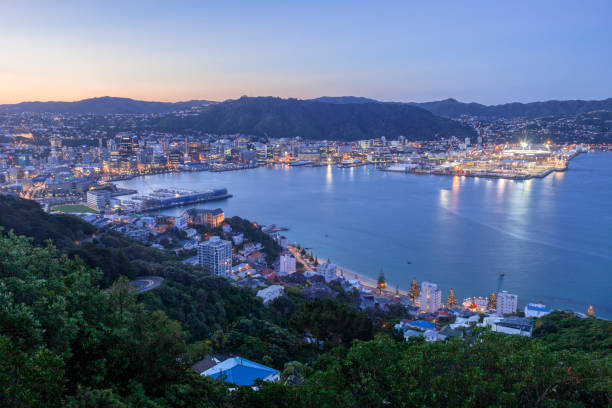 istock Wellington New Zealand 904044502