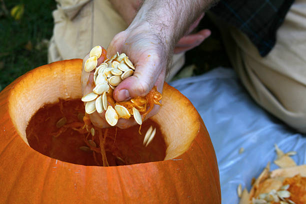 istock Man Carving, Cleaning a Pumpkin Holding Seeds and Pulp 90404846