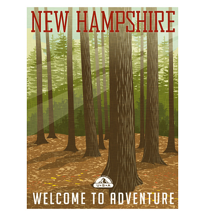 Retro style travel poster or sticker. United States, New Hampshire. Deep forest with sunlight filtering through.