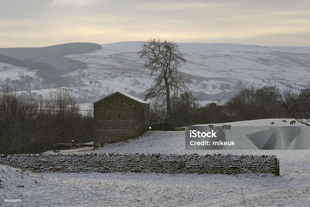 Establo y de la nieve de invierno paisaje, en Yorkshire - Foto de stock de Aire libre libre de derechos