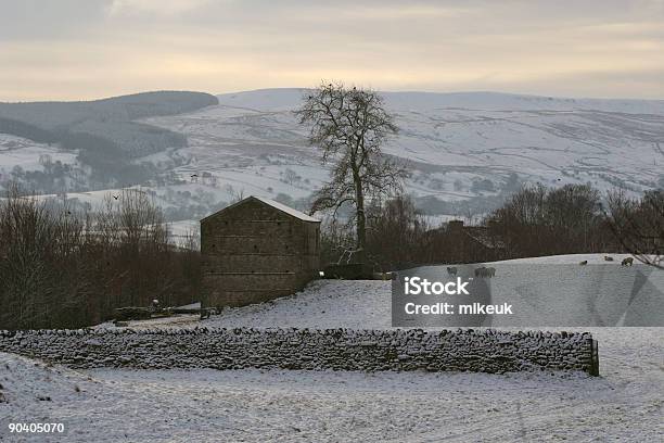 Establo Y De La Nieve De Invierno Paisaje En Yorkshire Foto de stock y más banco de imágenes de Aire libre
