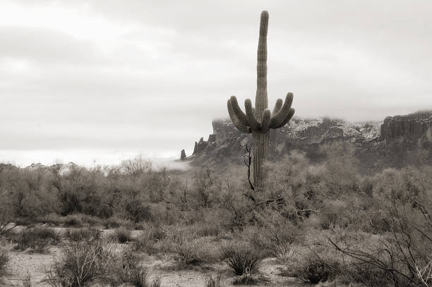 istock Stormy Day Over The Superstitions 90405324