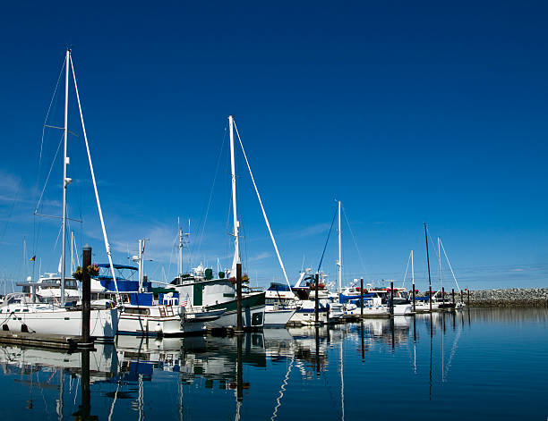 istock Sailboats at marina 90405954