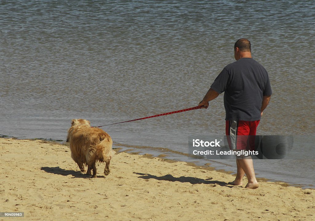Man Walks Dog On Beach  Dog Stock Photo