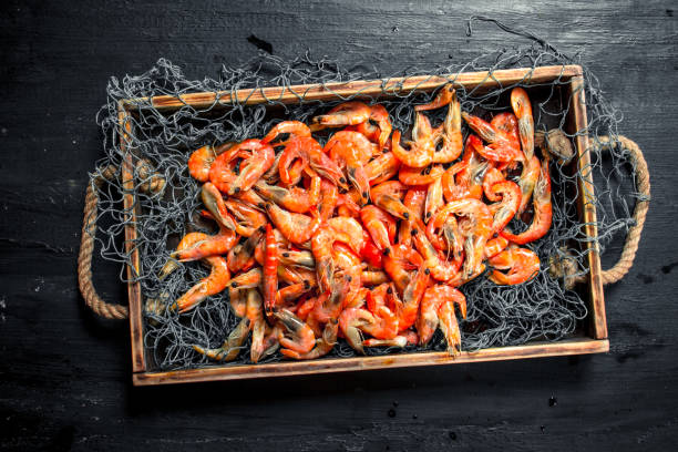 Fresh shrimp in a fishing net on a tray.
