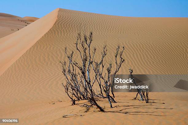 Piasek Diuna Z Drzewa - zdjęcia stockowe i więcej obrazów Arabia - Arabia, Bez ludzi, Drzewo