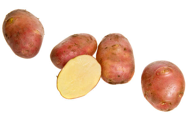 ziemniaki surowe - red potato raw potato isolated vegetable zdjęcia i obrazy z banku zdjęć