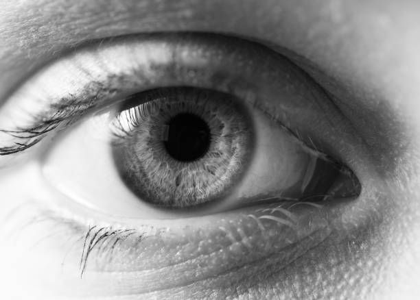 istock Macro shot of female human eye. 904064454
