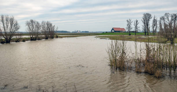 istock Flooded polder landscape in the Netherlands 904065304