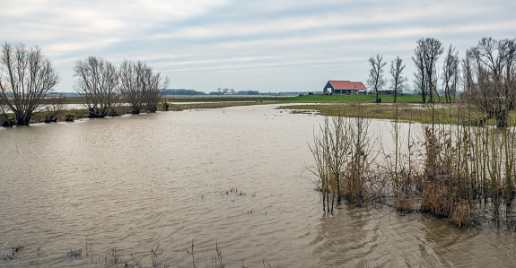 Panoramic image of a Dutch polder flooded by the high water level in the nearby river. In the background is a new farm, built on a mound.