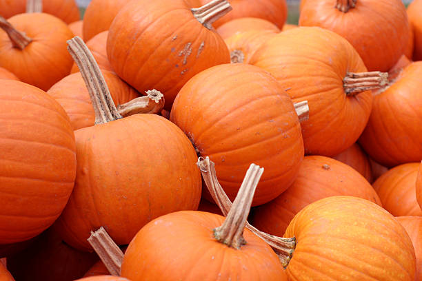 Barrel of pumpkins stock photo