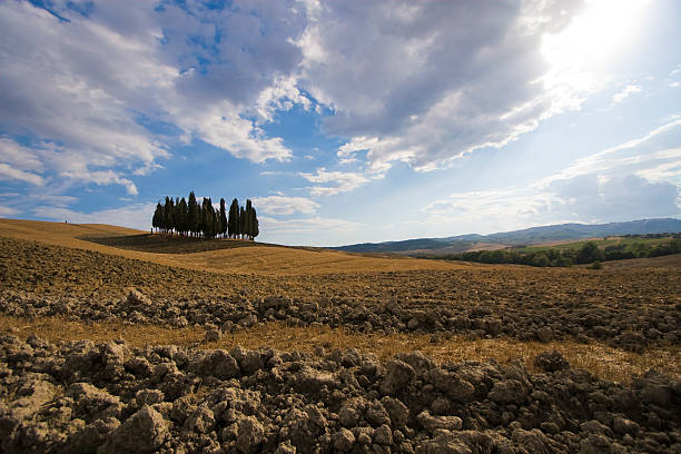 Tuscany Land in summer stock photo