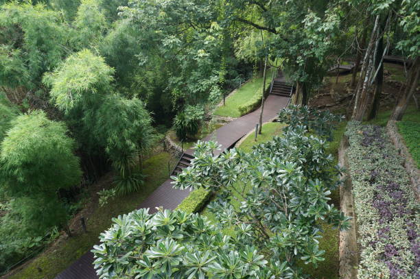 istock Landscape of Wooden walkway 904071138
