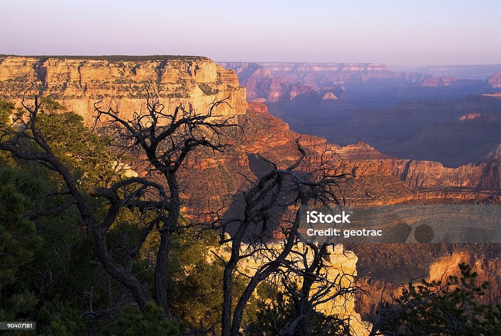 Grand Canyon - Foto de stock de 6-7 Anos royalty-free