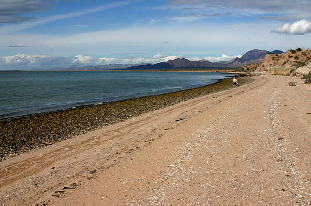 istock Beachcombing on Sea of Cortez 90407385
