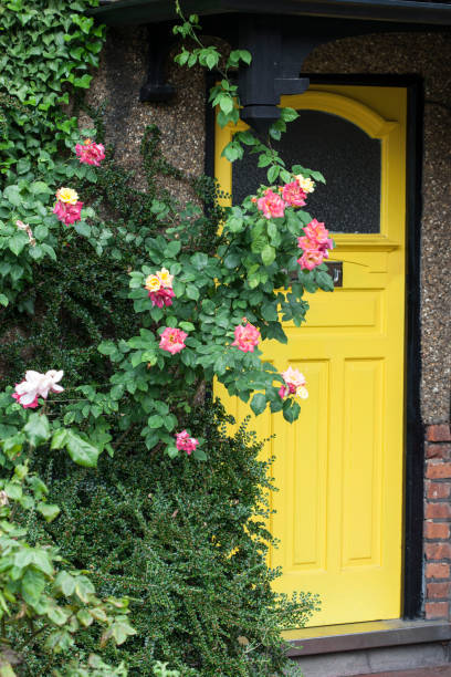 istock Yellow Door behind Roses 904073864