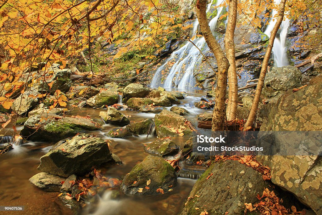 秋の滝 - シェナンドー国立公園のロイヤリティフリーストックフォト