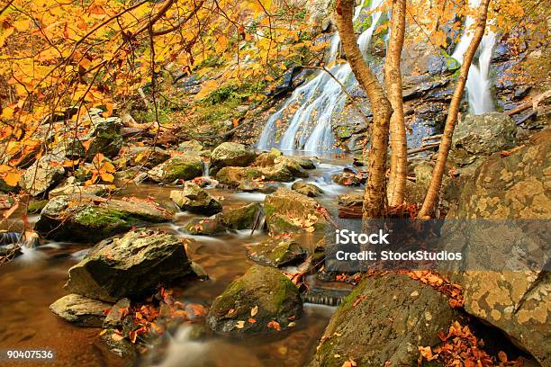 Осенний Водопад — стоковые фотографии и другие картинки Национальный парк Шенандоа - Национальный парк Шенандоа, Падать, Без людей