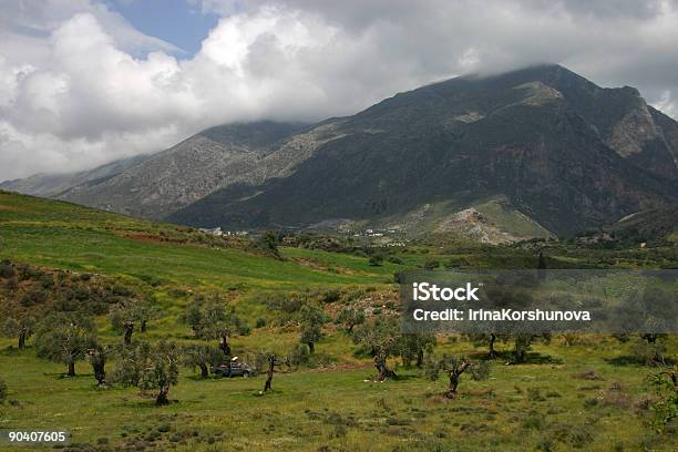Foto de Olive Grove Em Creta Grécia e mais fotos de stock de Minoico - Minoico, Agricultura, Antigo