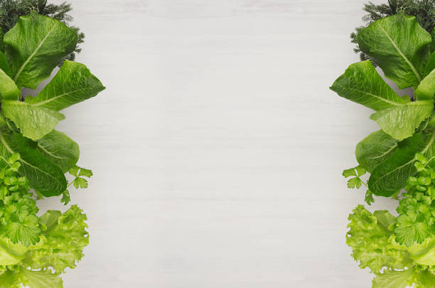 Fresh leaves different greens on white wood board, top view.