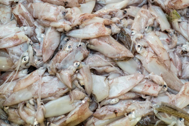 istock Fresh calamari in market 904078266