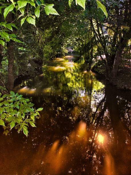 istock golden river dappled sunlight beauty in nature sunlight landscape 904079268