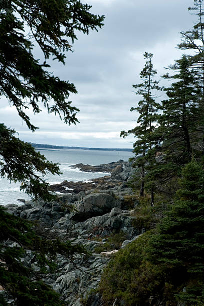 istock Shoreline near Otter Cove, Acadia NP, ME 90407956