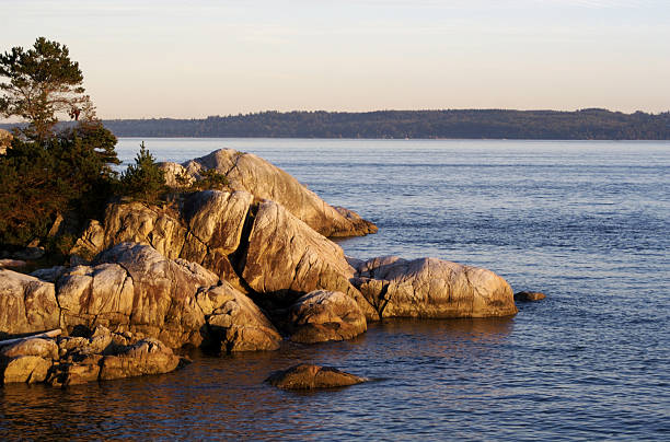 istock Rugged West Coast of Canada 90408101
