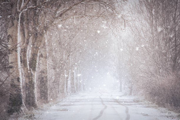 istock Beautiful winter landscape a snowy day 904090212