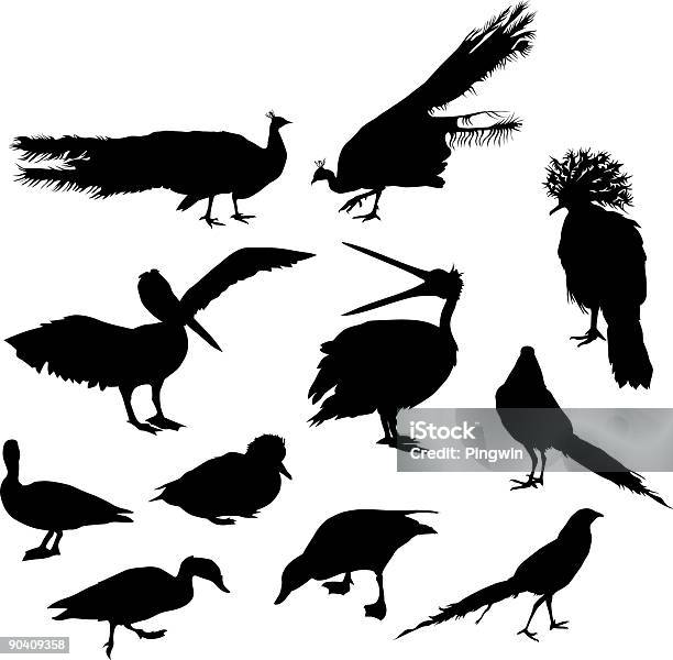 Vetores de Conjunto De Pássaros e mais imagens de Pomba-Goura - Pomba-Goura, Animal, Asa animal