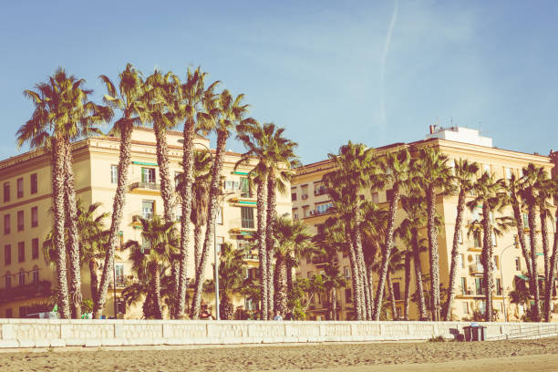 istock Malagueta beach in Malaga, Andalusia 904093928