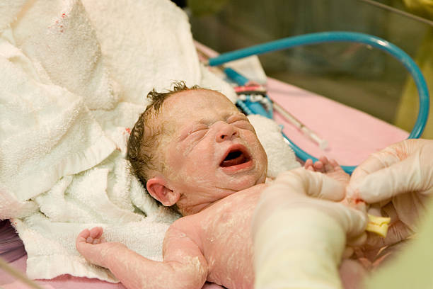 People - Premature Infant stock photo