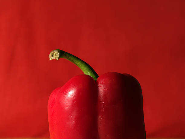 Red paprika stock photo