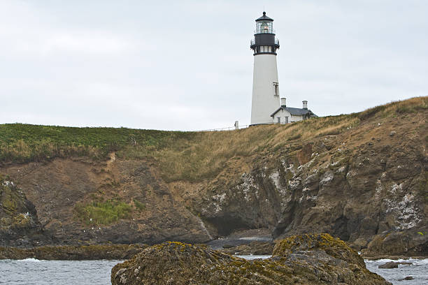 istock Yaquina Head Lighthouse on a Pre-dawn Overcast Morning 90410234