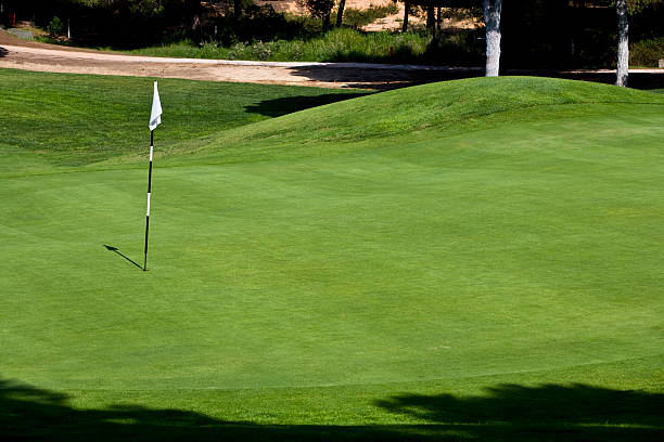istock Green on a Portuguese golf course 90410252