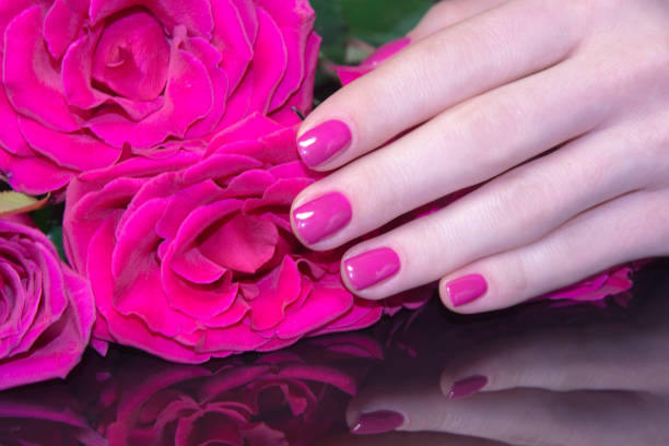 istock Pink female nails and rose 904106482