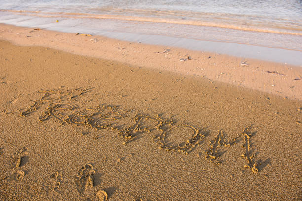 istock Freedom word written in sand 904108952