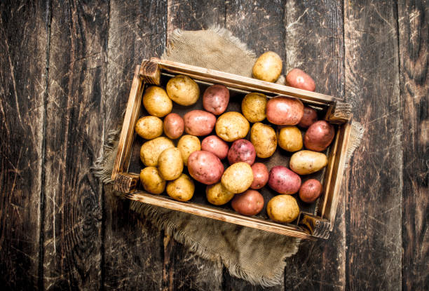 istock Fresh potatoes in an old box. 904115118