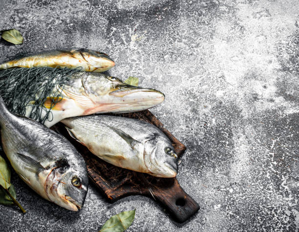 fresh unprepared fish. - 5515 imagens e fotografias de stock